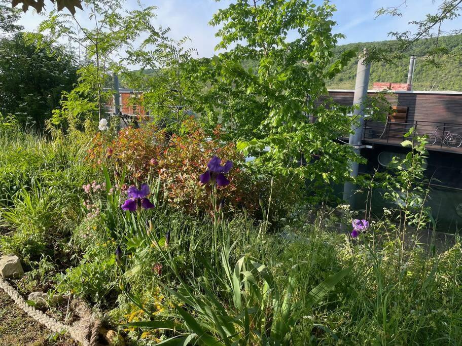 Maison Fleurs De Lys, Climatisee, Wifi Et Parking Privee Gratuit, Lave-Linge, Vernon Giverny מראה חיצוני תמונה